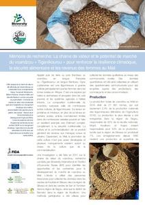 Mémoire de recherche: La chaine de valeur et le potentiel de marché du voandzou « Tiganikourou » pour renforcer la résilience climatique, la sécurité alimentaire et les revenus des femmes au Mali
