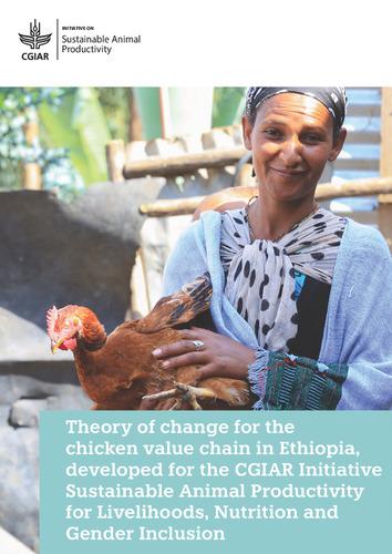 Theory of change for the chicken value chain in Ethiopia, developed for the CGIAR Initiative Sustainable Animal Productivity for Livelihoods, Nutrition and Gender Inclusion