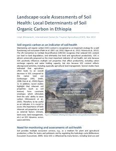 Landscape-scale assessments of soil health: local determinants of soil organic carbon in Ethiopia