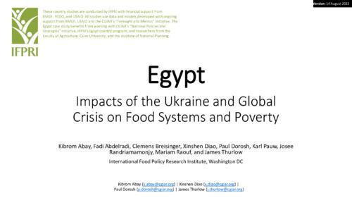 Egypt: Impacts of the Ukraine and Global Crisis on Food Systems and Poverty: Updated 2022-08-14