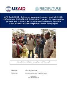 Africa RISING-NAFAKA vegetable baseline survey report
