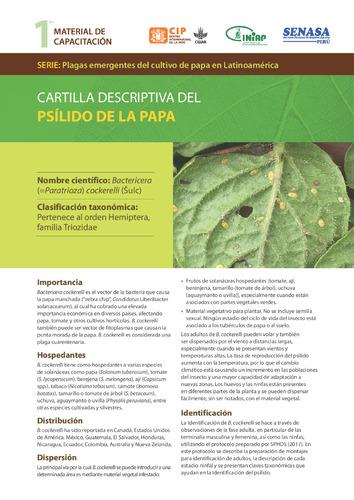 Cartilla descriptiva del psílido de la papa