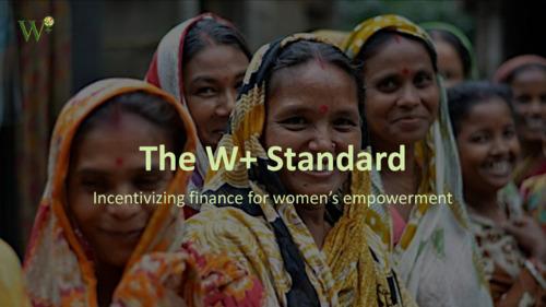 The W+ Standard: Incentivizing finance for women’s empowerment