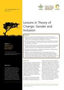 Lessons in Theory of Change: Gender and Inclusion