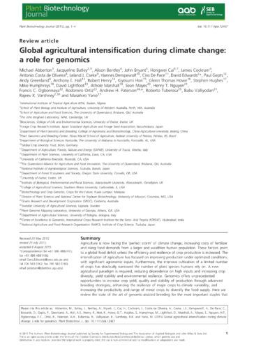 Global agricultural intensification during climate change: a role for genomics