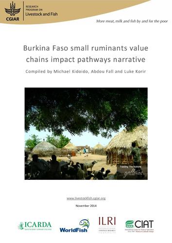 Burkina Faso small ruminants value chains impact pathways narrative