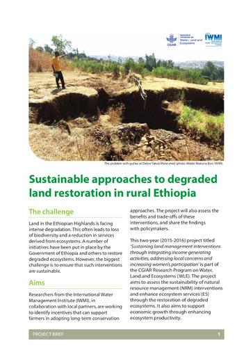 Sustainable approaches to degraded land restoration in rural Ethiopia