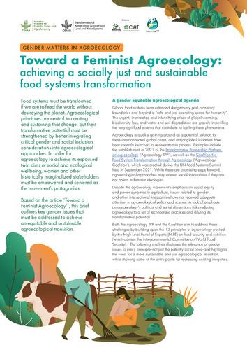 Toward a feminist agroecology: achieving a socially just and sustainable food systems transformation