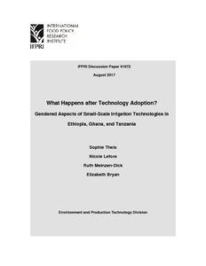 What Happens after Technology Adoption? Gendered Aspects of Small-Scale Irrigation Technologies in Ethiopia, Ghana, and Tanzania