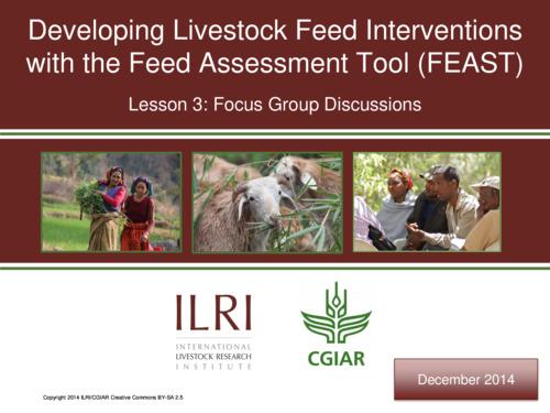 Developing livestock feed interventions with the feed assessment tool (FEAST): Module 4: Focus group discussions