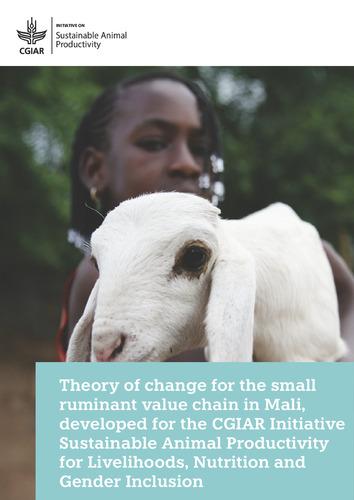 Theory of change for the small ruminant value chain in Mali, developed for the CGIAR Initiative Sustainable Animal Productivity for Livelihoods, Nutrition and Gender Inclusion