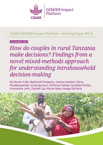 How do couples in rural Tanzania make decisions? Findings from a novel mixed-methods approach for understanding intrahousehold decision-making