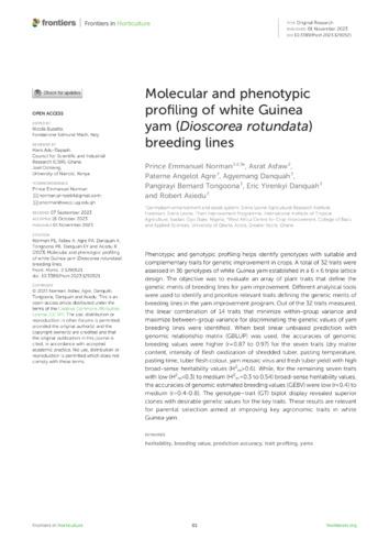 Molecular and phenotypic profiling of white Guinea yam (Dioscorea rotundata) breeding lines