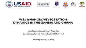 WE2.3: Mangrove vegetation dynamics in The Gambia and Ghana