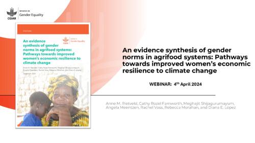 Webinar: Launch of an evidence synthesis of gender norms in agrifood systems: Pathways  towards improved women’s economic  resilience to climate change
