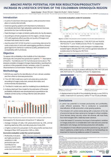 Arachis pintoi: Potential for risk reduction/productivity increase in livestock systems of the Colombian Orinoquía region