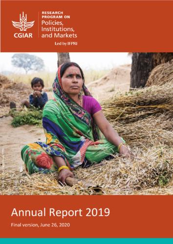 Annual report 2019: CGIAR Research Program on Policies, Institutions, and Markets