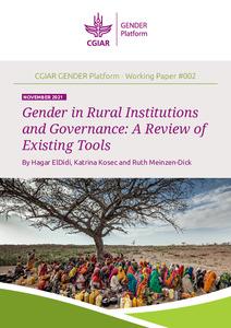 Gender in rural institutions and governance: A review of existing tools