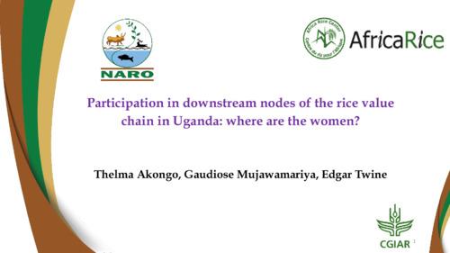 Participation in downstream nodes of the rice value chain in Uganda: Where are the women?