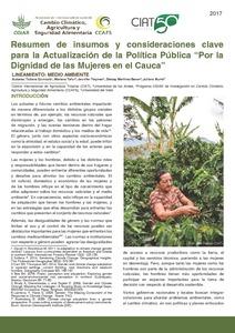 Resumen de insumos y consideraciones clave para la Actualización de la Política Pública “Por la Dignidad de las Mujeres en el Cauca”.