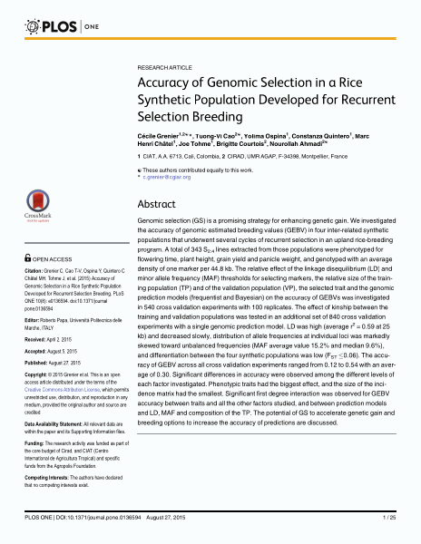 Accuracy of genomic selection in a rice synthetic population developed for recurrent selection breeding