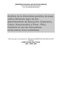 Análisis de la diversidad genética de papa nativa (Solanum spp.) de los departamentos de Ayacucho, Cajamarca, Cuzco, Huancavelica y Puno-Perú, mediante el uso de marcadores moleculares microsatélites