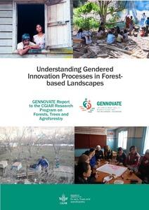 Understanding gendered innovation processes in forest-based landscapes: case studies from Indonesia and Kyrgyz Republic