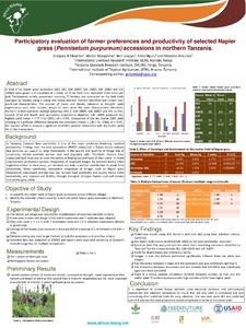 Participatory evaluation of farmer preferences and productivity of selected Napier grass (Pennisetum purpureum) accessions in northern Tanzania