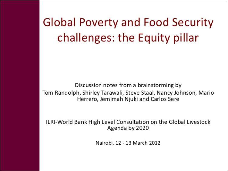 Global poverty and food security challenges: The equity pillar