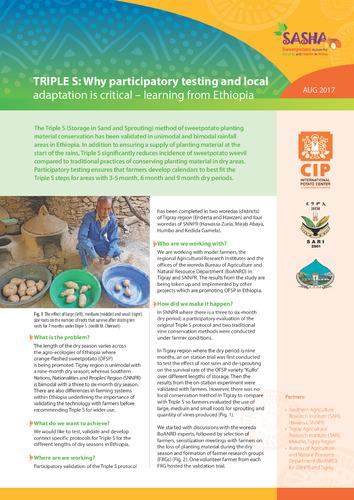 TRIPLE S: Why participatory testing and local adaptation is critical – learning from Ethiopia