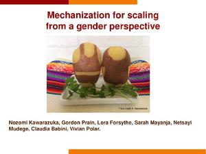 Mechanization for scaling from a gender perspective