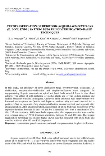 Cryopreservation of redwood (Sequoia sempervirens (D. Don.) Endl.) in vitro buds using vitrification-based techniques.