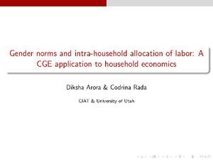 Gender norms and intra-household allocation of labor: a CGE application to household economics