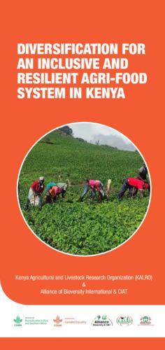 Diversification for an inclusive and resilient agri-food system in Kenya