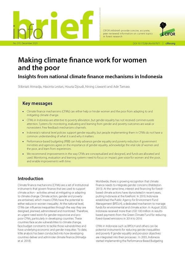 Making climate finance work for women and the poor: Insights from national climate finance mechanisms in Indonesia