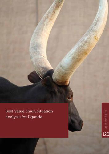 Beef value chain situation analysis for Uganda