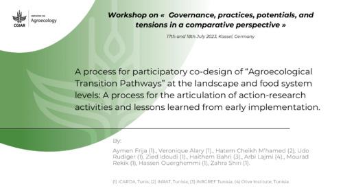 A process for participatory co-design of agroecological Transition pathways at the landscape and food system levels: a process for the articulation of action-research activities and lessons learned from early implementation