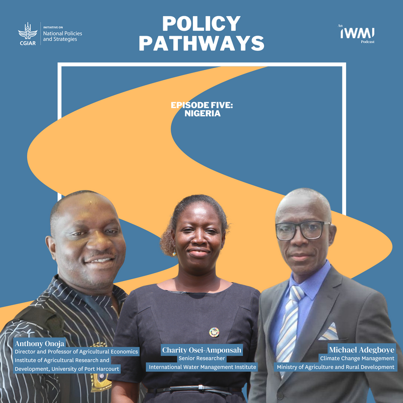 Nigeria's Policy Pathways