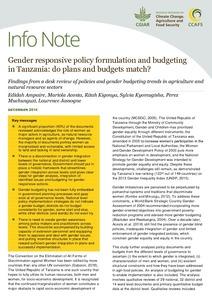 Gender responsive policy formulation and budgeting in Tanzania: do plans and budgets match?