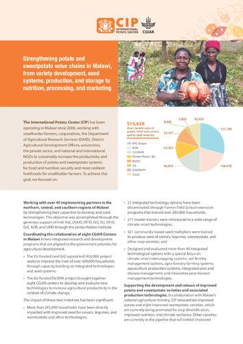 Strengthening potato and sweetpotato value chains in Malawi, from variety development, seed systems, production, and storage to nutrition, processing, and marketing
