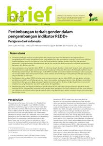 Pertimbangan terkait gender dalam pengembangan indikator REDD+: Pelajaran dari Indonesia