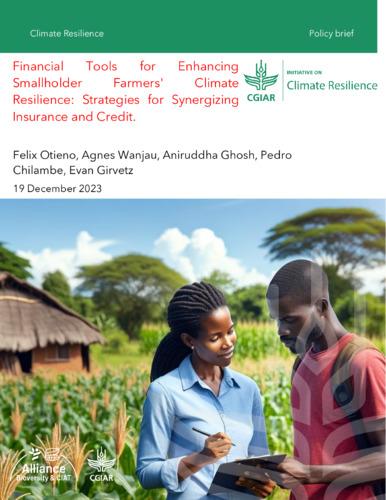 Financial tools for enhancing smallholder farmers' climate resilience: Strategies for synergizing insurance and credit