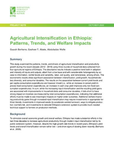 Agricultural intensification in Ethiopia: Patterns, trends, and welfare impacts