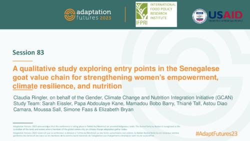 A qualitative study exploring entry points in the Senegalese goat value chain for strengthening women’s empowerment, climate resilience, and nutrition