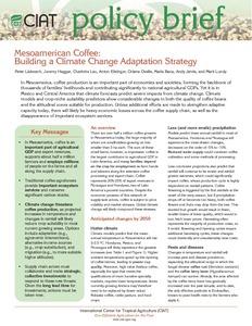 Mesoamerican coffee: building a climate change adaptation strategy