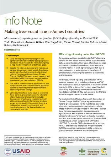 Making trees count in non-Annex I countries: Measurement, reporting and verification (MRV) of agroforestry in the UNFCCC