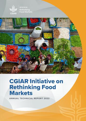 CGIAR Initiative on Rethinking Food Markets: Annual Technical Report 2022