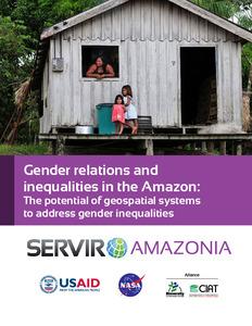 Gender relations and inequalities in the Amazon: The potential of geospatial systems to address gender inequalities