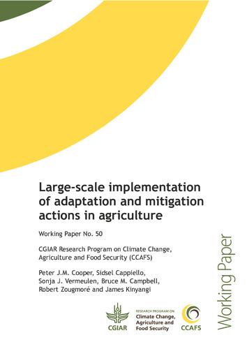Large-scale implementation of adaptation and mitigation actions in agriculture