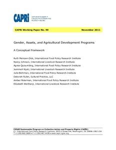 Gender, Assets, and Agricultural Development Programs: A Conceptual Framework
